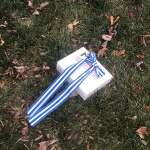 Blue and white striped Country western Tie clip on